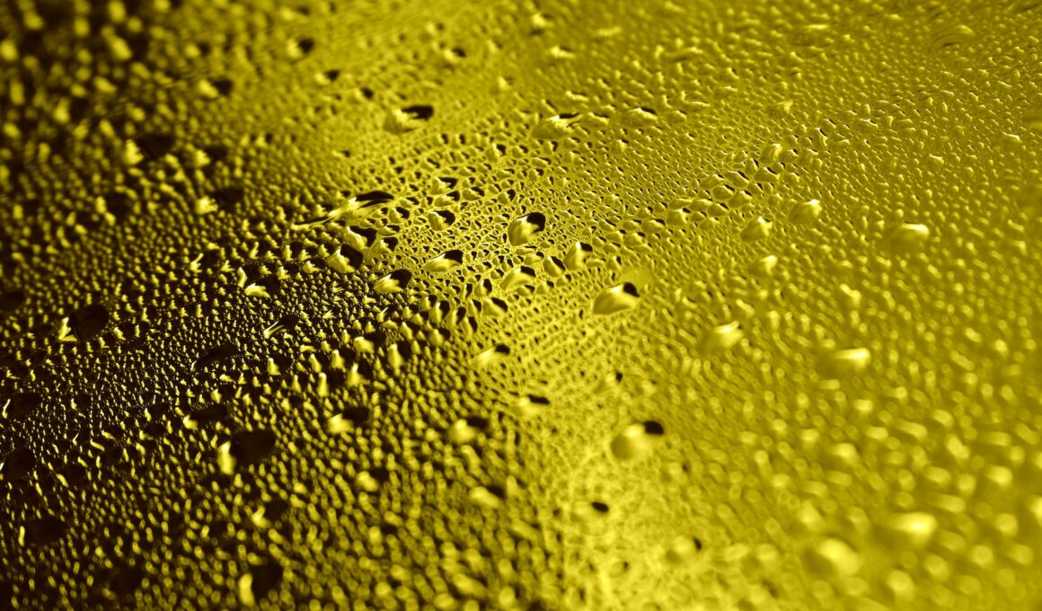 Close-up of Water Droplets on Golden Surface