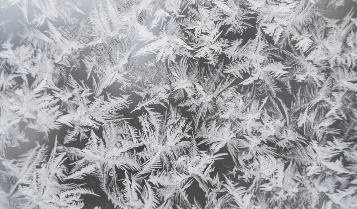 a close up of a frosty window
